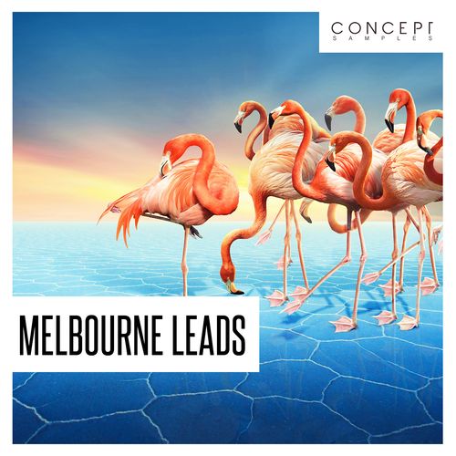 Sample Pack: Melbourne Leads