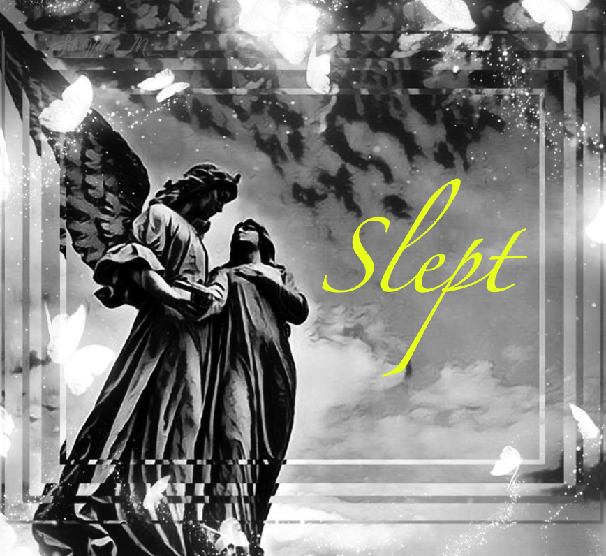 Slept
