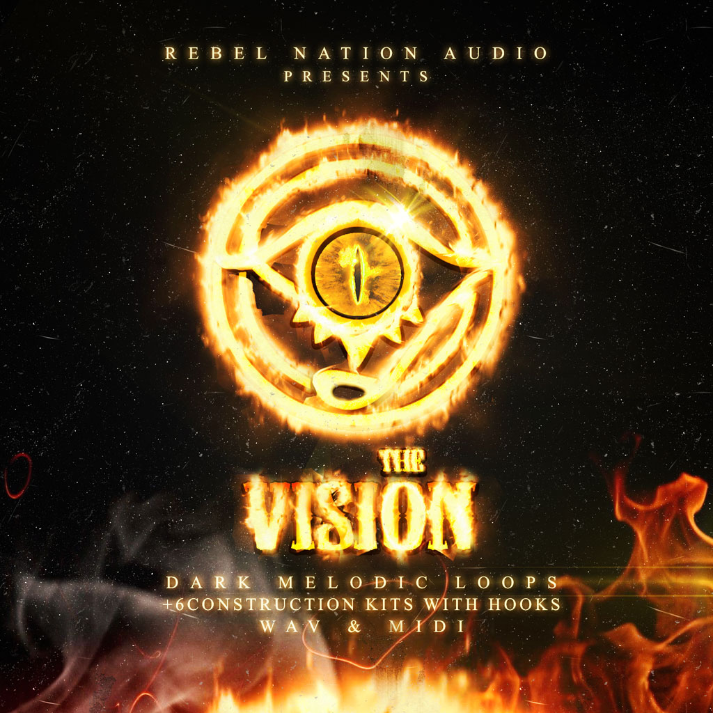Vision