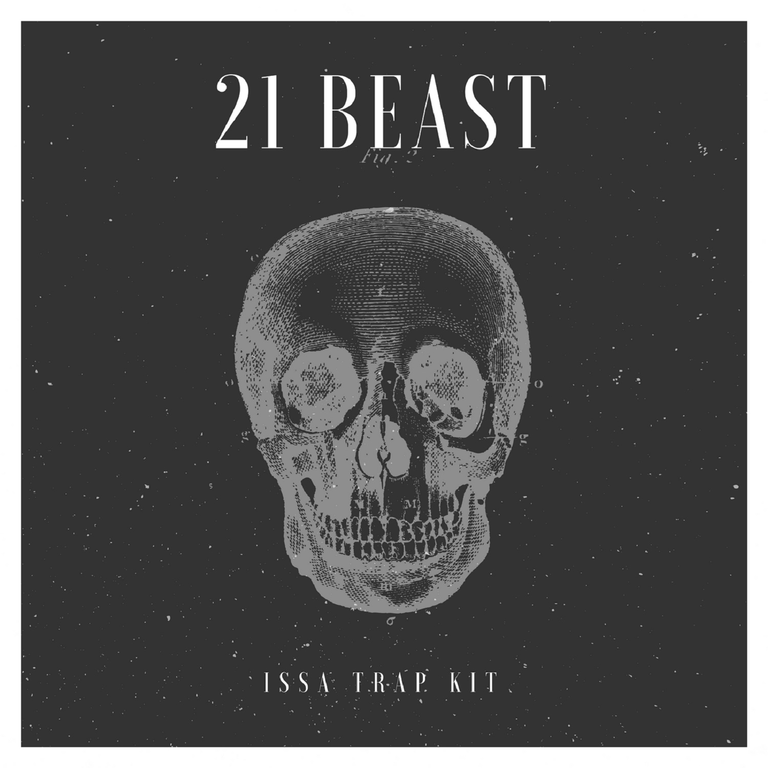 21 Beast