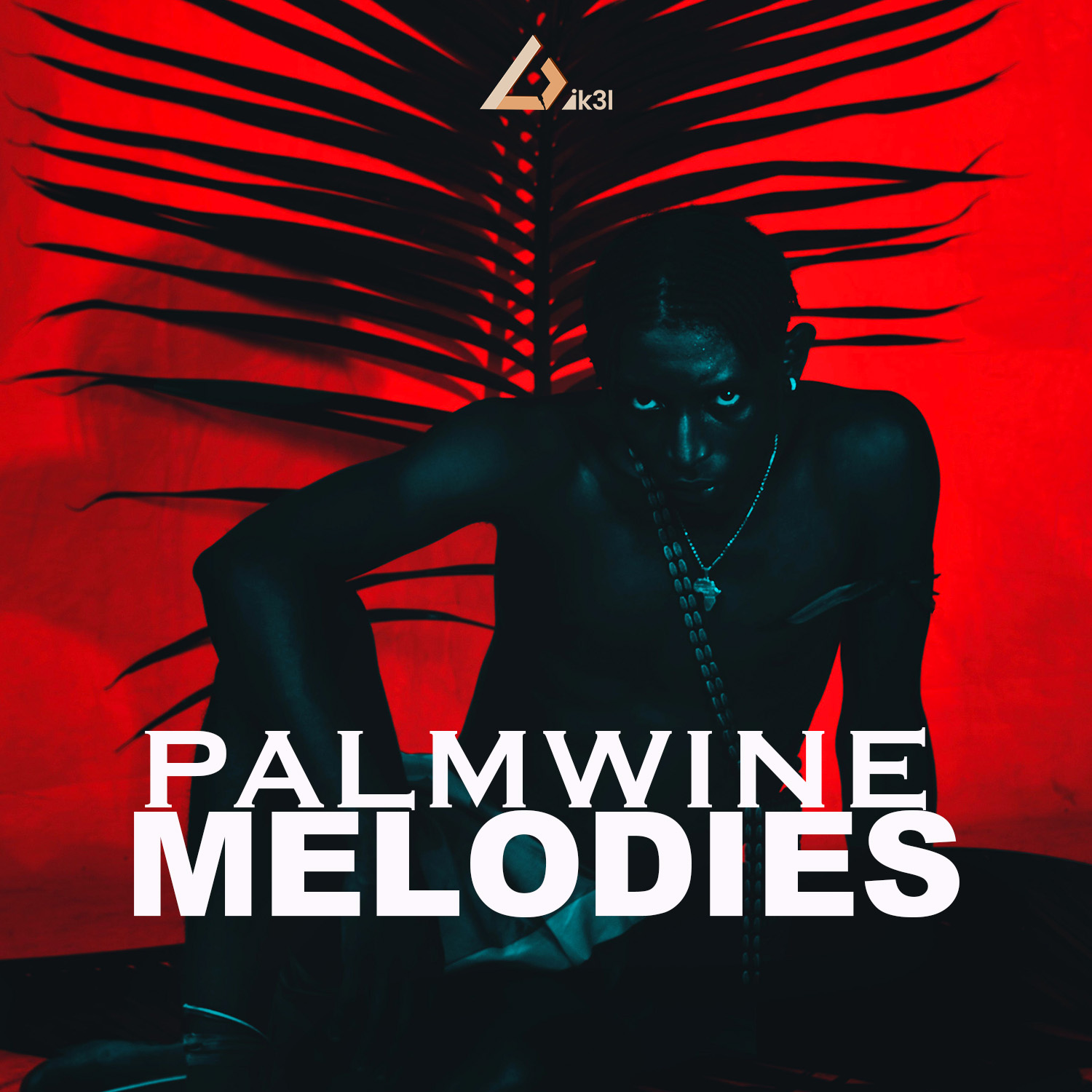 Palmwine Melodies & Hooks