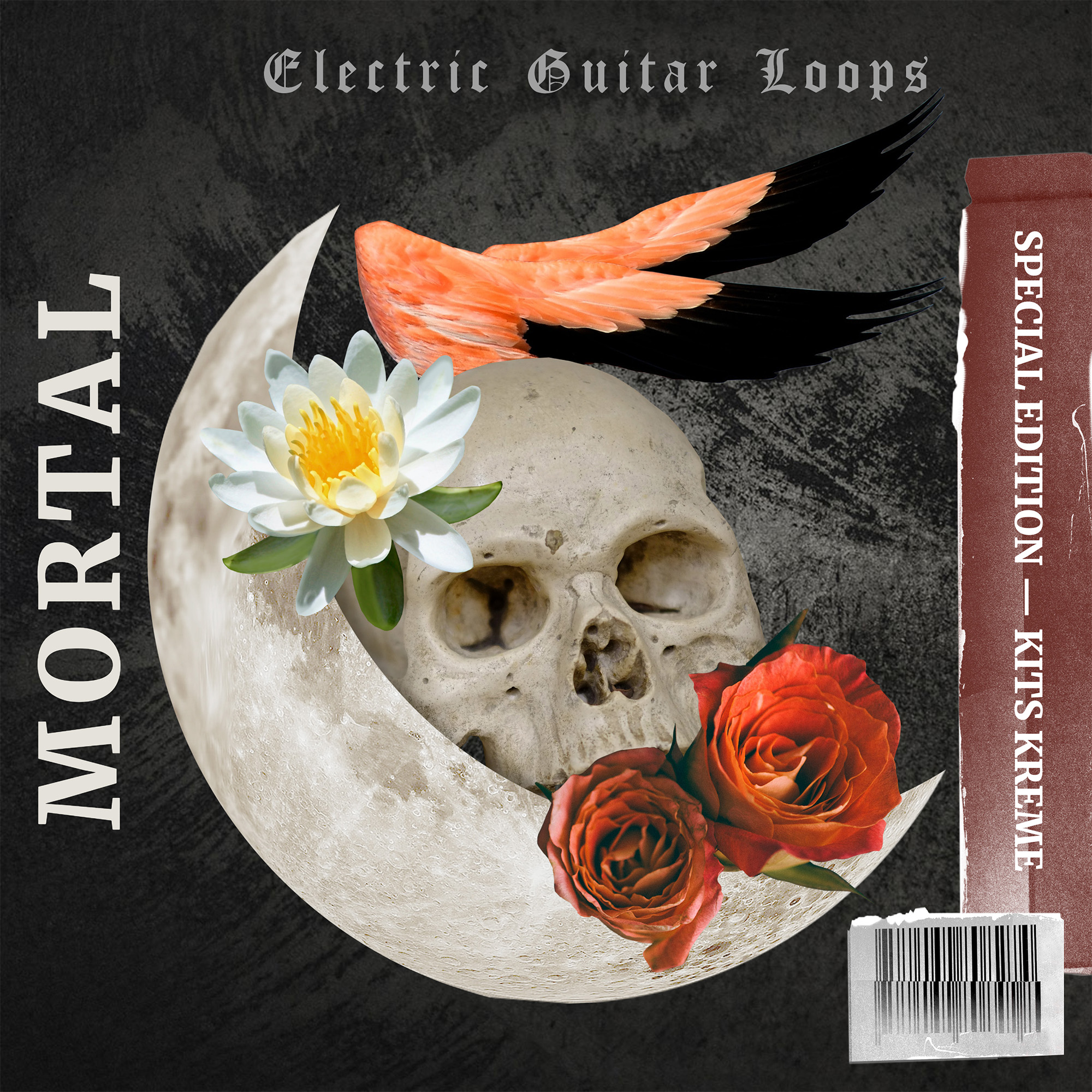 Mortal Guitar Loops