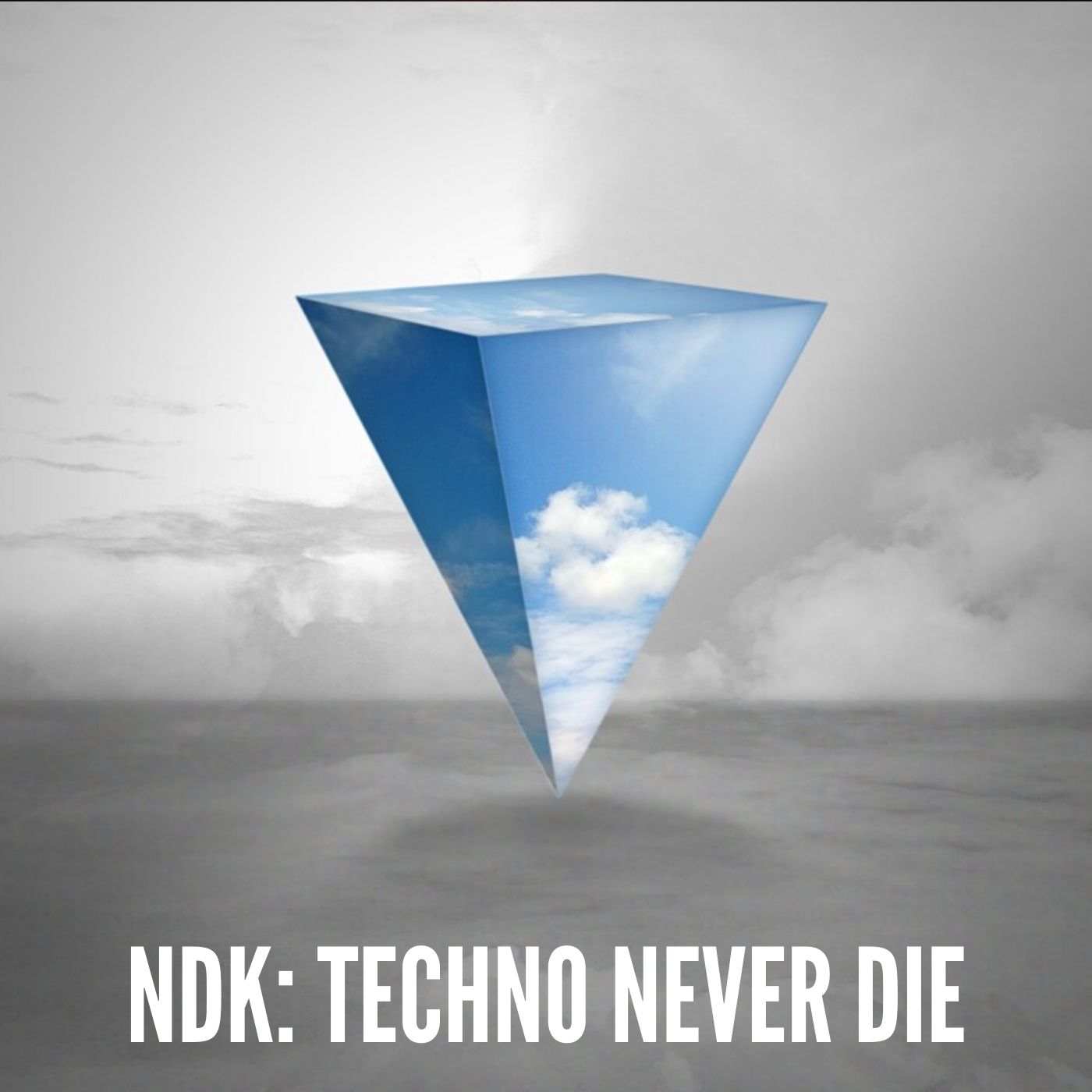 NDK: Techno Never Die