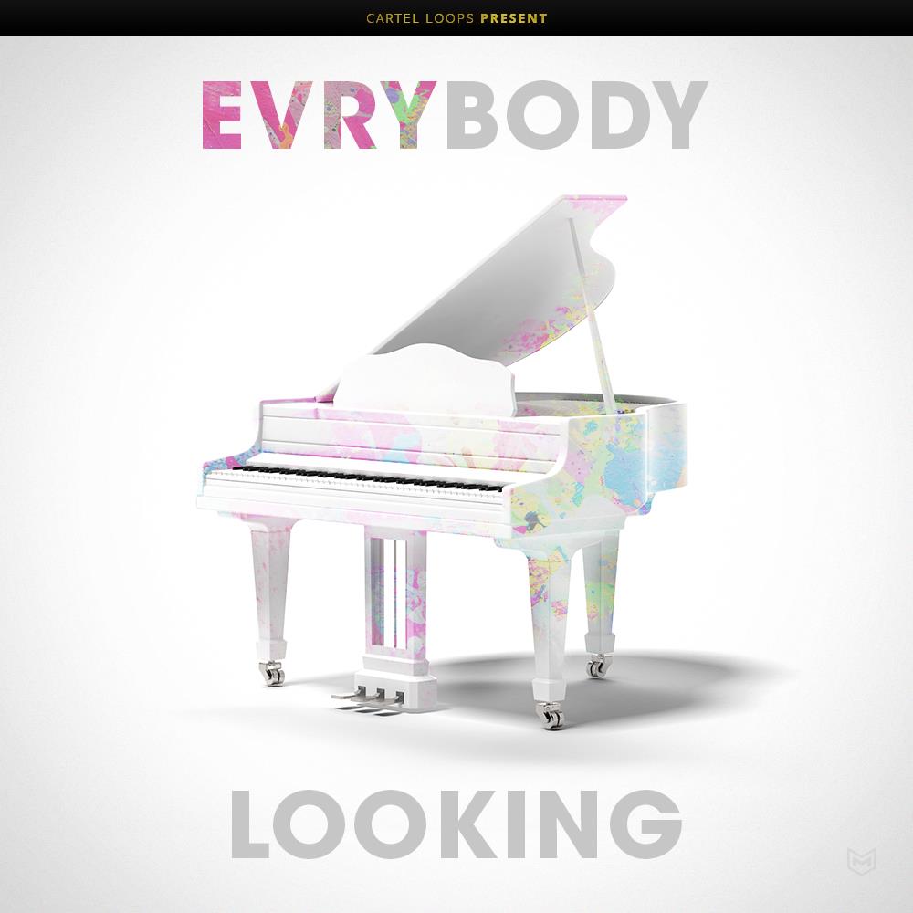Evrybody Looking