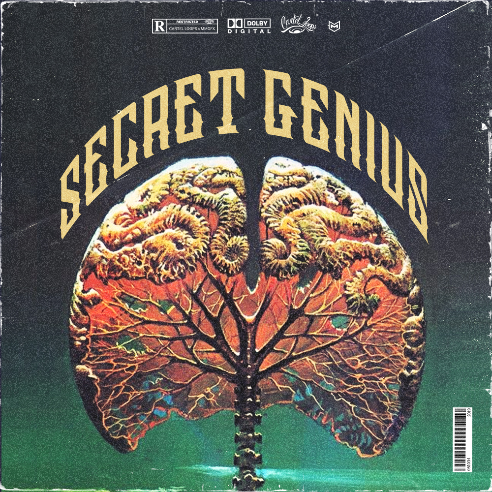 Secret Genius