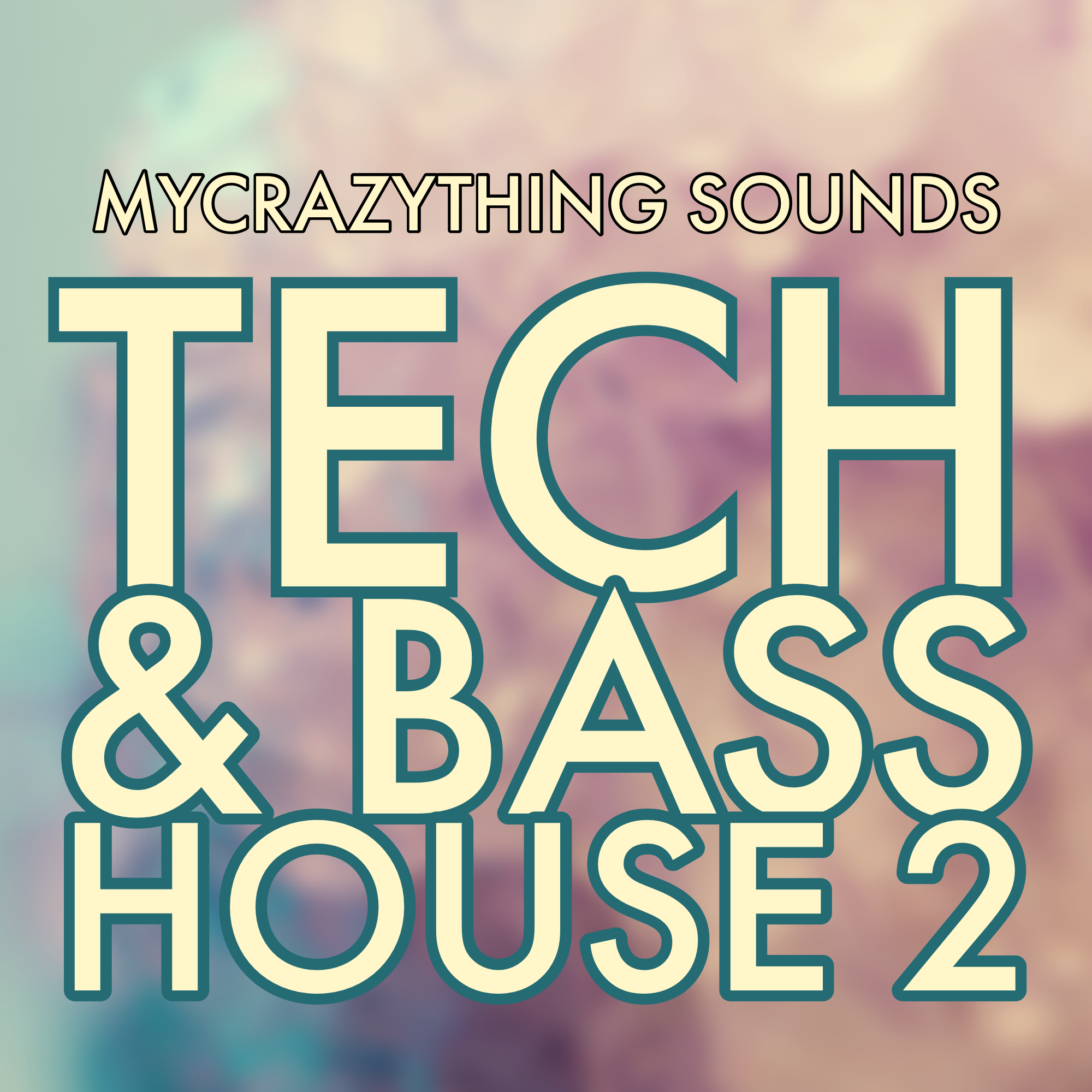 Tech & Bass House 2