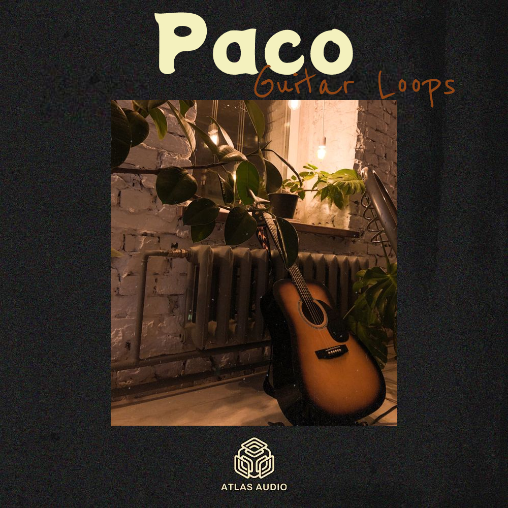 Paco - Guitar Loops