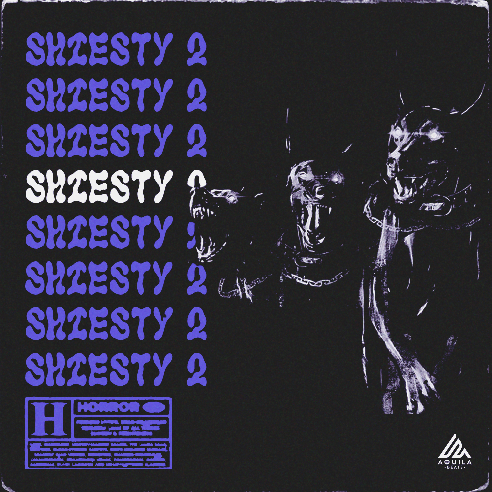 Shiesty 2