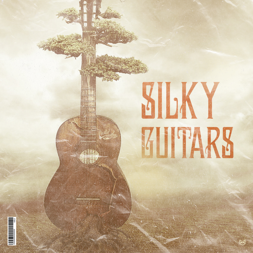 Silky Guitars