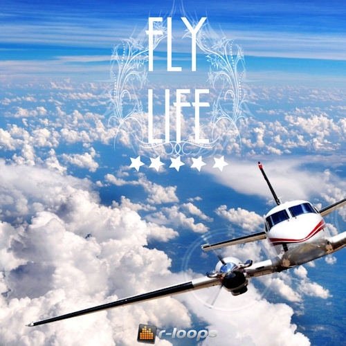 Fly Life