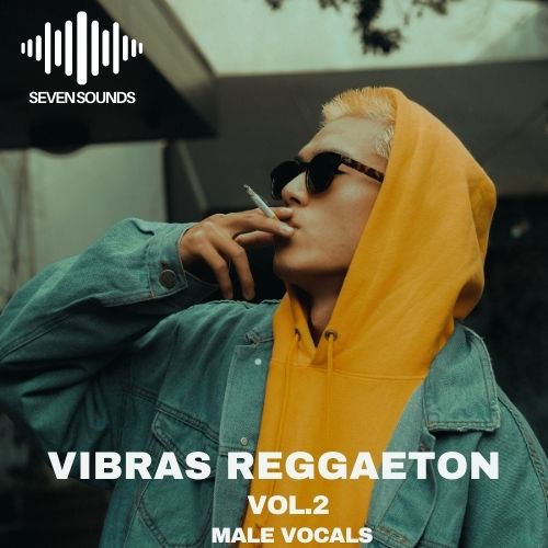 Vibras Reggaeton vol.2
