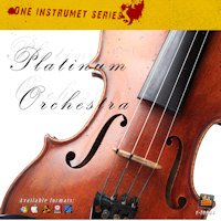 Platinum Orchestra