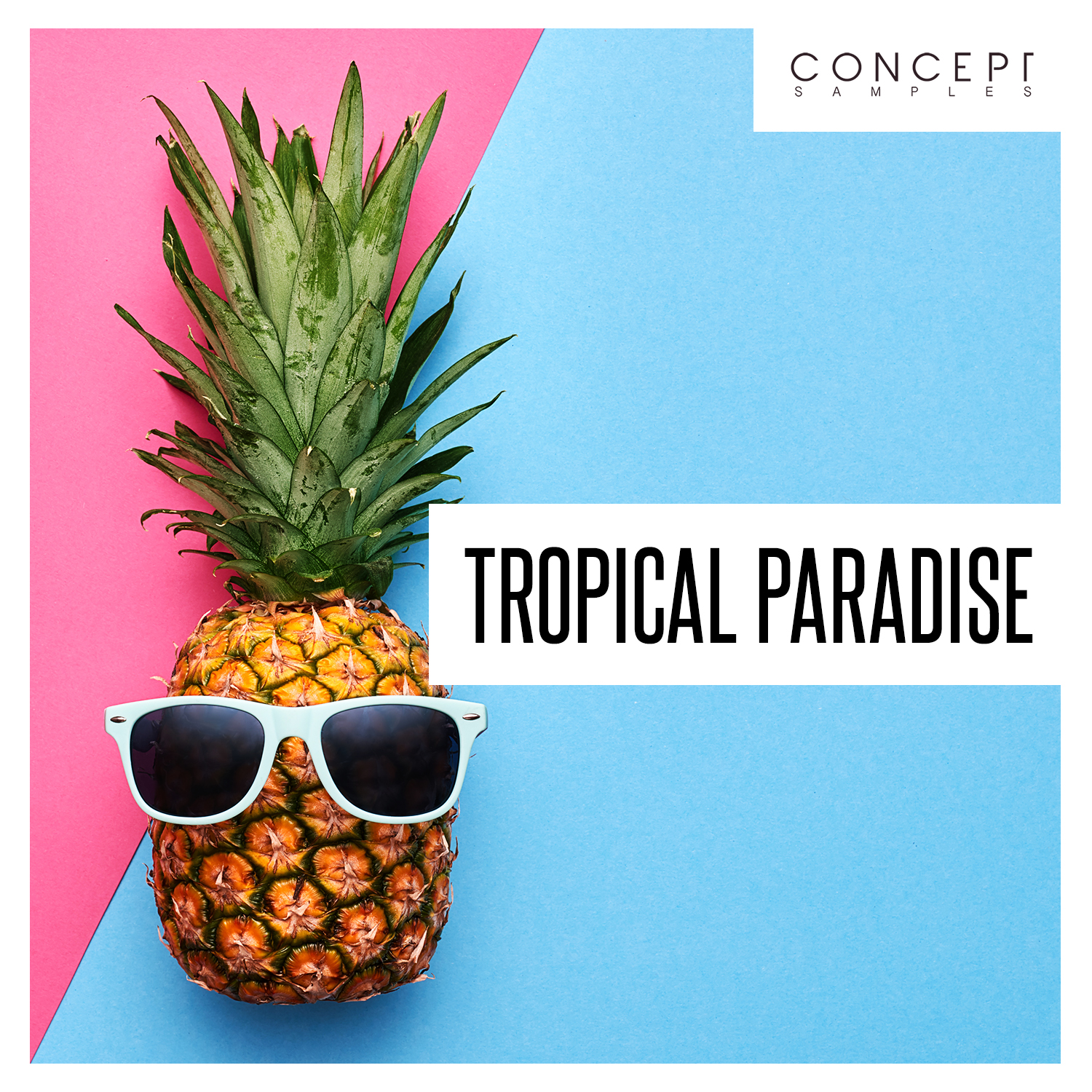 Tropical Paradise