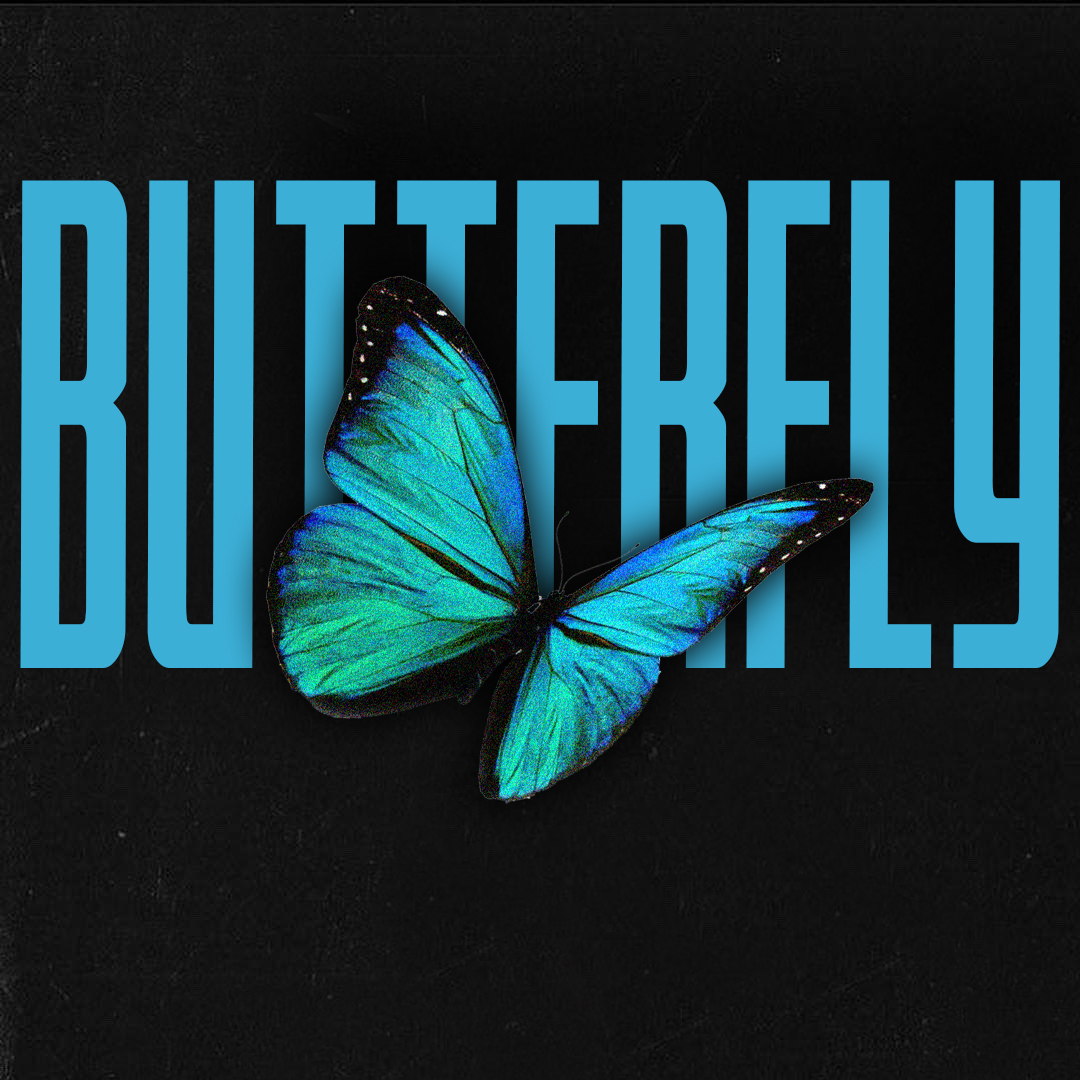 The Butterfly