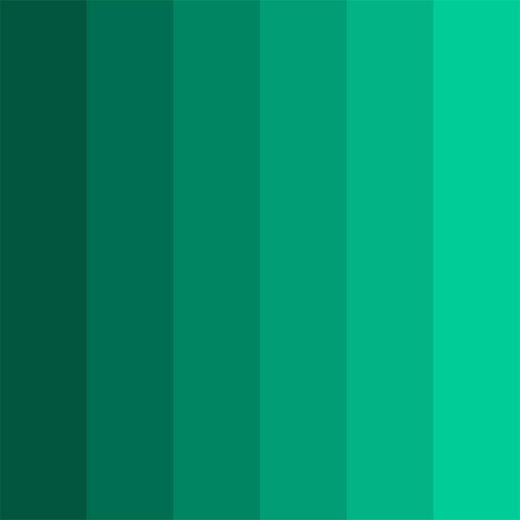 Shades : Cactus