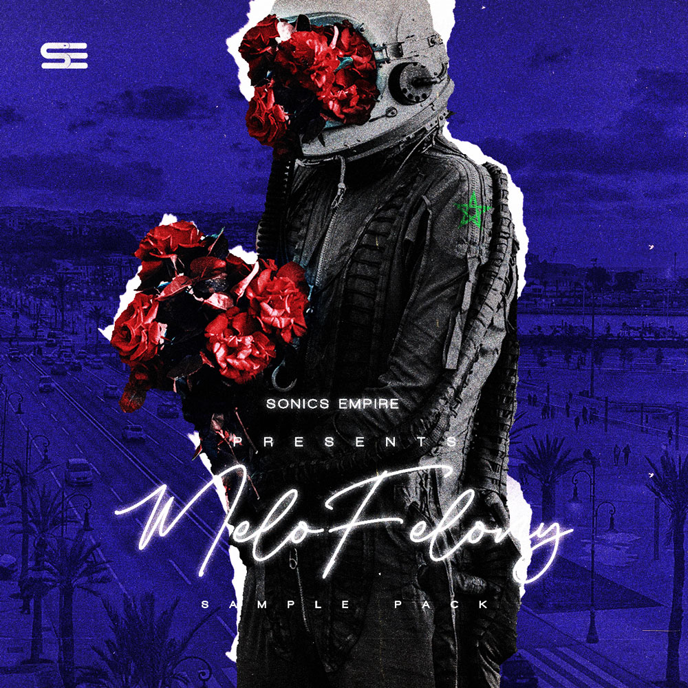 Melo Felony