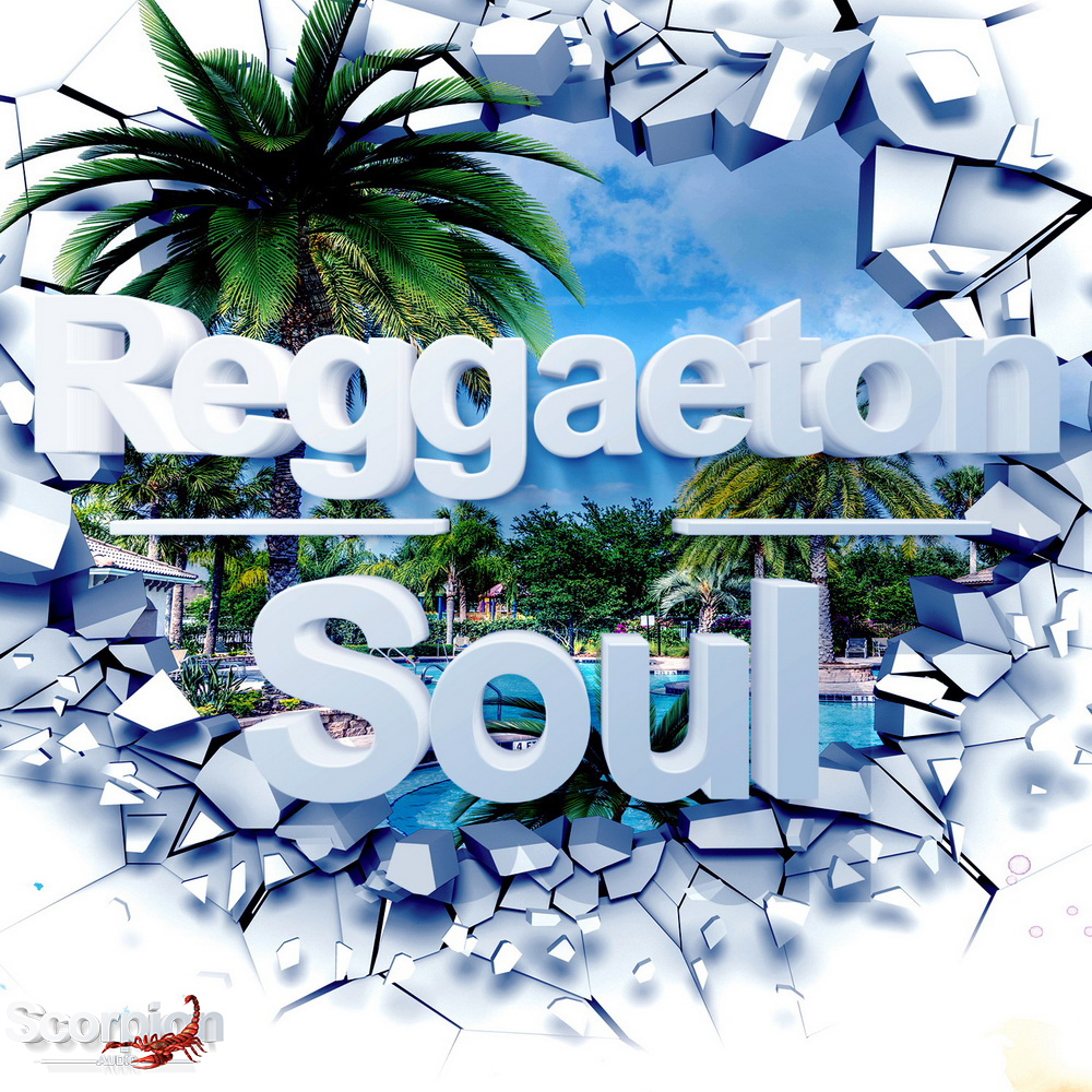 REGGAETON SOUL