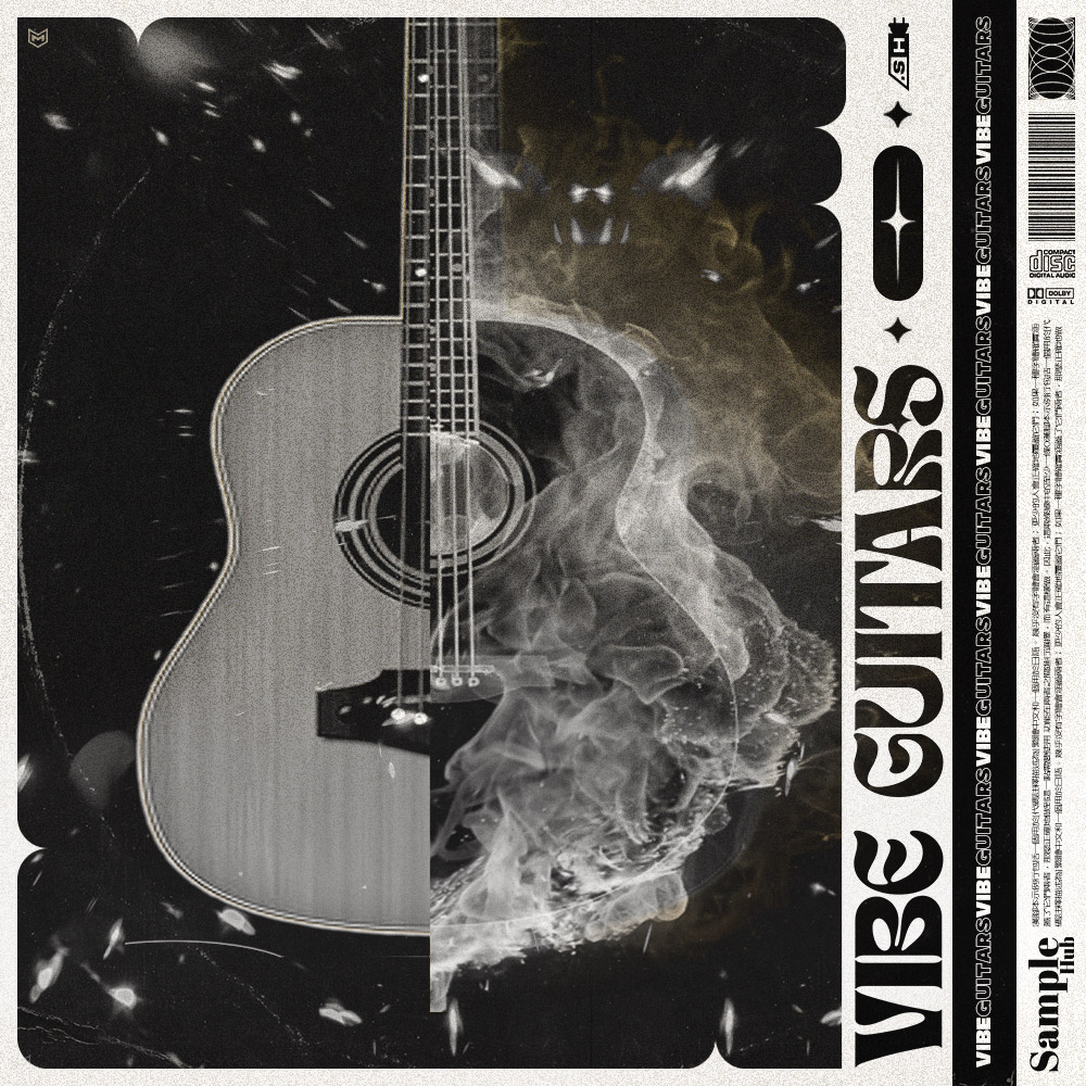 Vibe Guitars 3