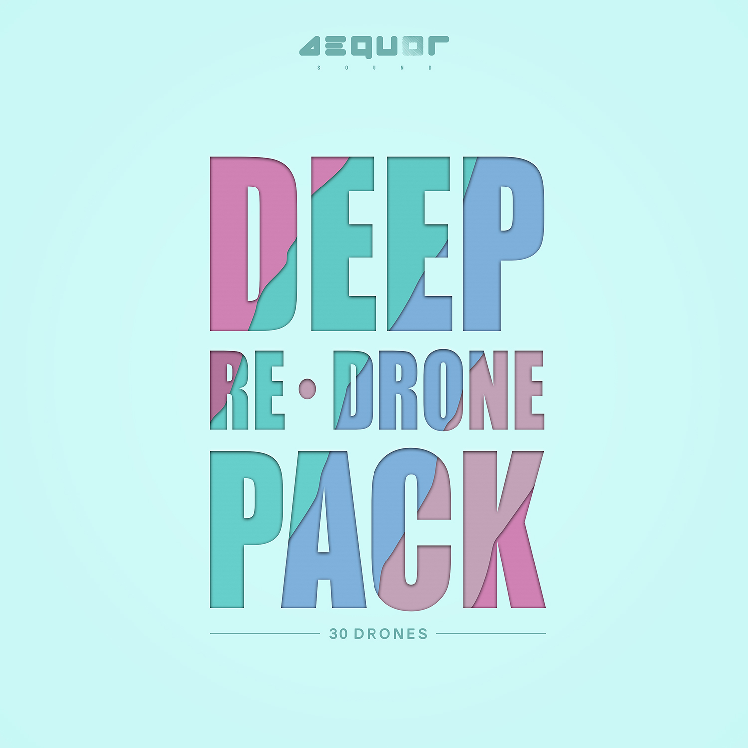 Deep Re-Drone