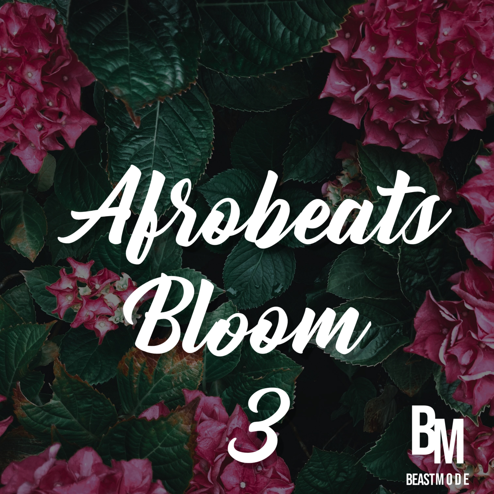Afrobeat Bloom 3