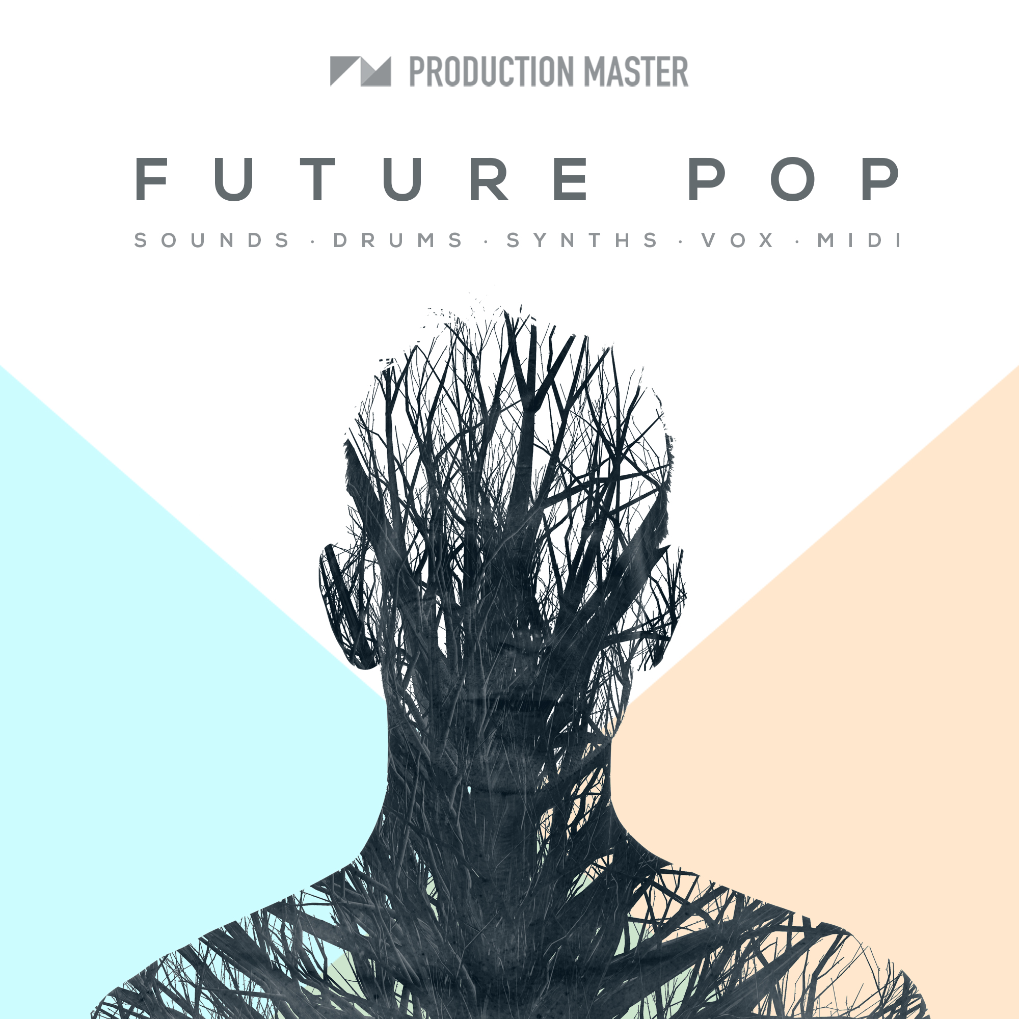 Future Pop Loops