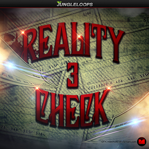 Reality Check 3