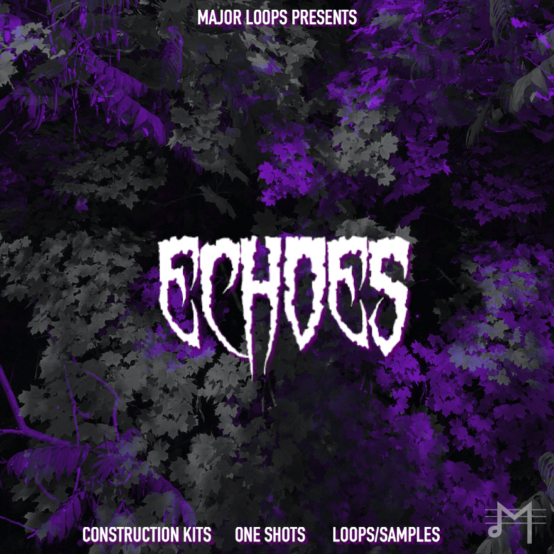 Echoes