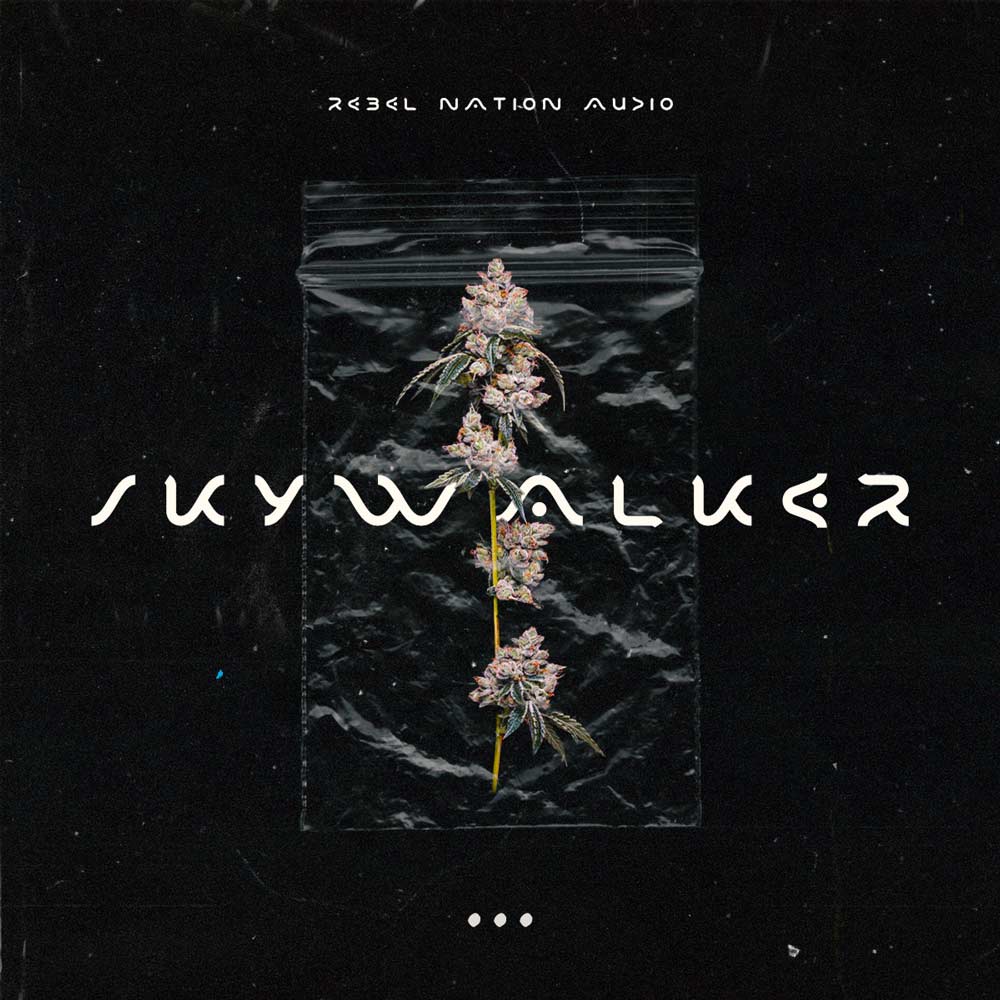 SkyWalker